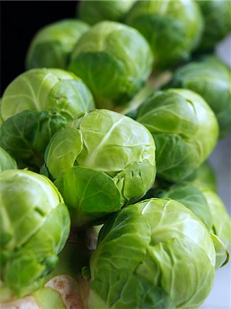 sprout - Brussels sprouts tree Stock Photo - Rights-Managed, Code: 824-07586118