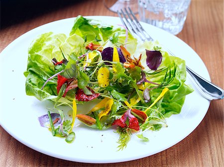 salad leaf - Herb salad Stock Photo - Rights-Managed, Code: 824-07586296