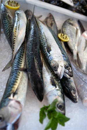 selling fish - Mackerel Foto de stock - Con derechos protegidos, Código: 824-02888220