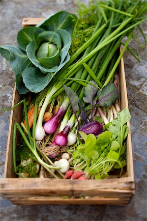radish - Crate of garden vegetables Stock Photo - Rights-Managed, Code: 825-05814368