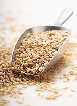 spelt - Spelt Stock Photo - Rights-Managed, Code: 825-05814631