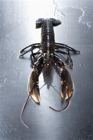 Live lobster Stock Photo - Rights-Managed, Code: 825-05814904