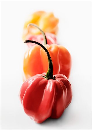 exotic vegetable - Habaneros peppers Stock Photo - Rights-Managed, Code: 825-05815443