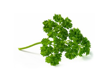 Fresh curly parsley Stock Photo - Rights-Managed, Code: 825-05815689