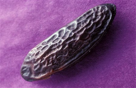 Tonka bean Stock Photo - Rights-Managed, Code: 825-05811424