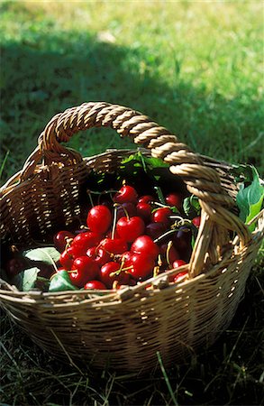 simsearch:825-05835910,k - Basket of cherries Stock Photo - Rights-Managed, Code: 825-05811455