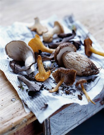 paper falling - Selection of mushrooms Stock Photo - Rights-Managed, Code: 825-05812149