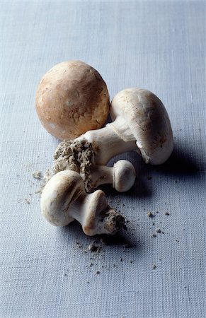simsearch:825-07076525,k - Button mushrooms Fotografie stock - Rights-Managed, Codice: 825-05812525