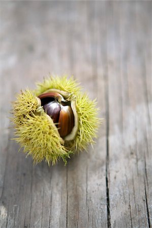 Chestnut bur Stock Photo - Rights-Managed, Code: 825-05812942