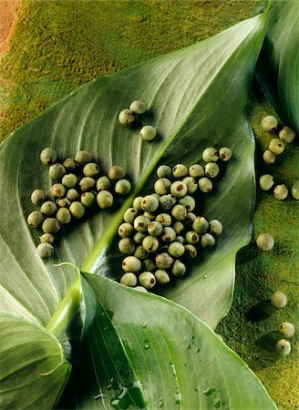 Green pepper Stock Photo - Rights-Managed, Code: 825-05835866
