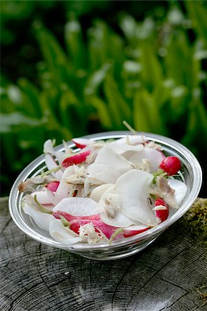 pink radish - Pink and black radish salad Foto de stock - Con derechos protegidos, Código: 825-05836204