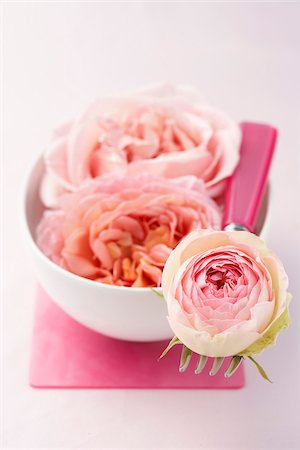 simsearch:825-05986661,k - Pink roses Stock Photo - Rights-Managed, Code: 825-05836424