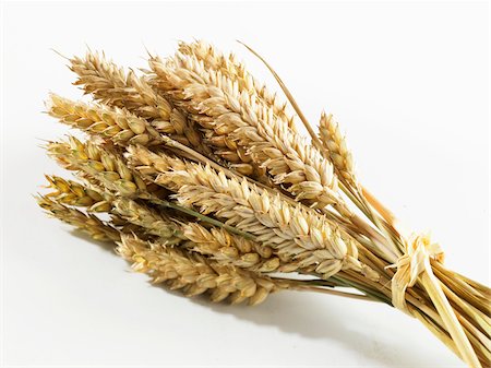 silhouette wheat - Ears of wheat Stock Photo - Rights-Managed, Code: 825-05836602