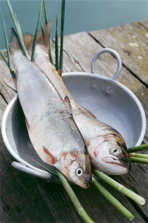 fresh food gourmet - Fresh trouts Stock Photo - Rights-Managed, Code: 825-05836672