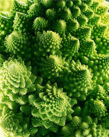 simsearch:825-05987060,k - Close-up of a Romanesco cabbage Stock Photo - Rights-Managed, Code: 825-05836735
