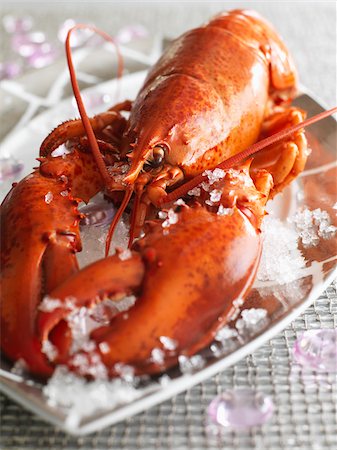 Lobster Stock Photo - Rights-Managed, Code: 825-05837080
