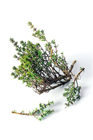 Thyme Stock Photo - Rights-Managed, Code: 825-05837260