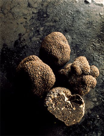 south west europe - truffles Foto de stock - Con derechos protegidos, Código: 825-05985008