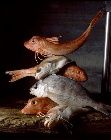 faire une selection - sélection de poissons Photographie de stock - Rights-Managed, Code: 825-05985305