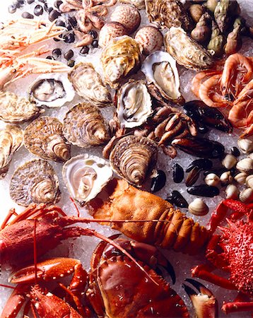 seafood not people - crustacés et fruits de mer Photographie de stock - Rights-Managed, Code: 825-05985325