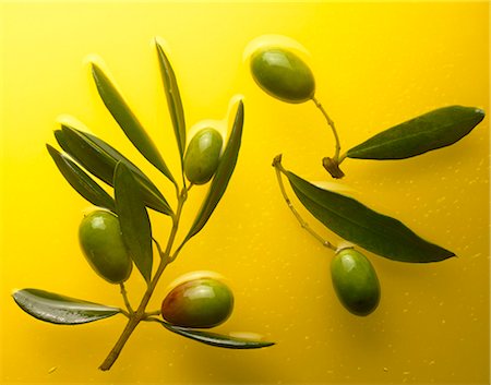 brins d'olives avec feuilles Photographie de stock - Rights-Managed, Code: 825-05985531