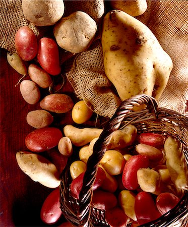 simsearch:652-07656256,k - Selection of potatoes Foto de stock - Con derechos protegidos, Código: 825-05985588