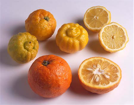 seville orange - Bigarade and Bergamot bitter oranges Stock Photo - Rights-Managed, Code: 825-05985689