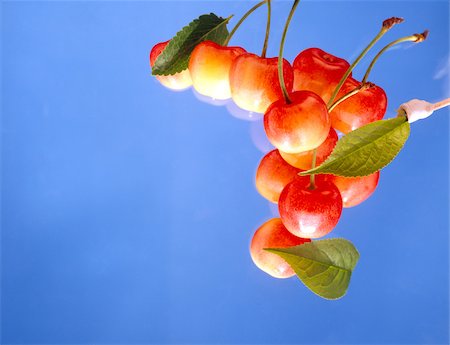 simsearch:825-05835910,k - Cherries Stock Photo - Rights-Managed, Code: 825-05985712