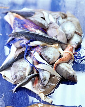 dabbing - selection of fish Stock Photo - Rights-Managed, Code: 825-05985778