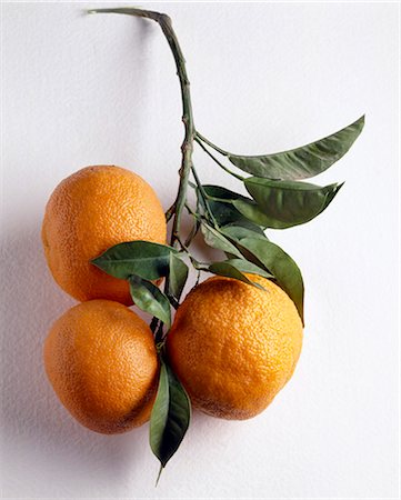 Bigarade oranges Stock Photo - Rights-Managed, Code: 825-05985804