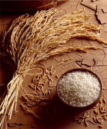 rice grains - riz sénégalais Photographie de stock - Rights-Managed, Code: 825-05985953