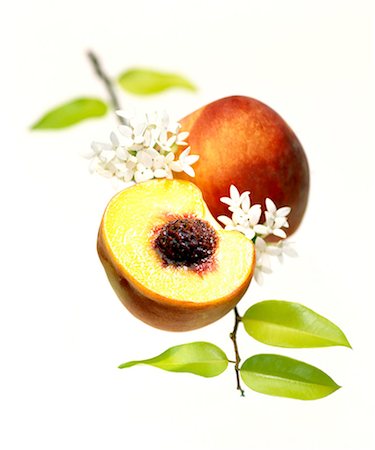 pêche (fruit) - Peach Photographie de stock - Rights-Managed, Code: 825-05986024