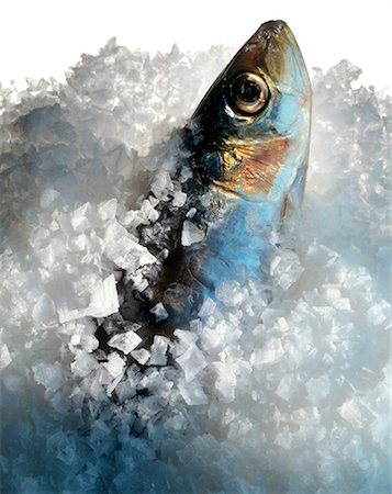 sal de mar - anchovy in fleur de sel coarse sea salt Foto de stock - Con derechos protegidos, Código: 825-05986101