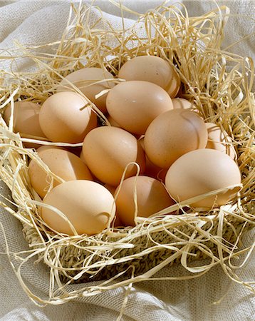 egg and farm - eggs Stock Photo - Rights-Managed, Code: 825-05986180