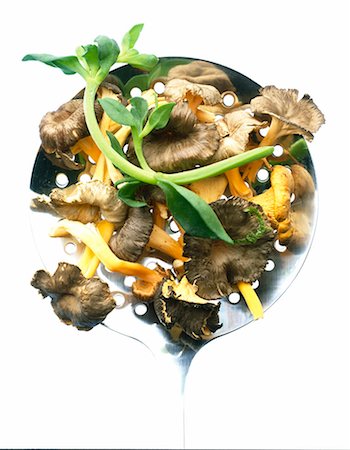 simsearch:825-05985407,k - Chanterelle mushrooms on skimmer Stock Photo - Rights-Managed, Code: 825-05986637