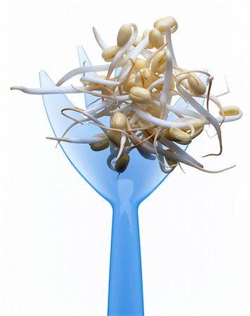 soya bean - beansprouts Stock Photo - Rights-Managed, Code: 825-05986663