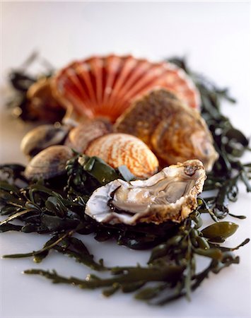 Shellfish Fotografie stock - Rights-Managed, Codice: 825-05986751