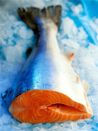 Salmon Stock Photo - Rights-Managed, Code: 825-05987225