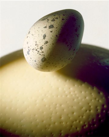 simsearch:825-05815449,k - ostrich egg and quail egg Stock Photo - Rights-Managed, Code: 825-05987330