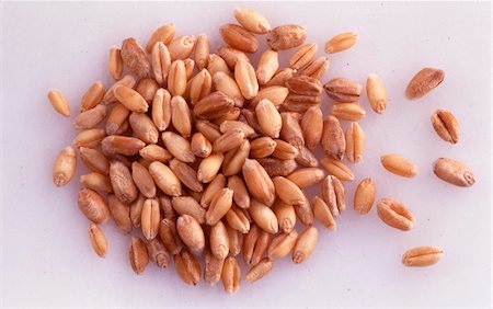 simsearch:652-05808695,k - Grains of wheat Stock Photo - Rights-Managed, Code: 825-05987807