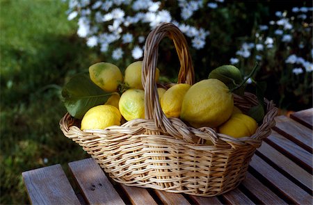 fruit winter basket - Basket of lemons Stock Photo - Rights-Managed, Code: 825-05988346