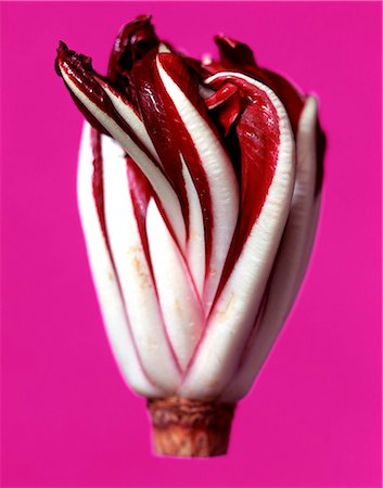 simsearch:825-07078169,k - Radicchio Trevigianio Stock Photo - Rights-Managed, Code: 825-05988500