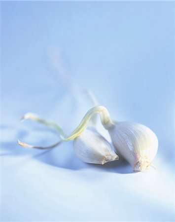 Garlic Foto de stock - Con derechos protegidos, Código: 825-05988702