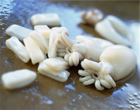 raw squid - Cuttlefish Stock Photo - Rights-Managed, Code: 825-05989613