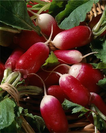 pink radish - pink radishes Stock Photo - Rights-Managed, Code: 825-05989991