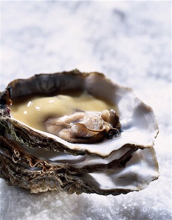 simsearch:825-05812724,k - oyster and white wine sabayon sauce Stock Photo - Rights-Managed, Code: 825-05990626