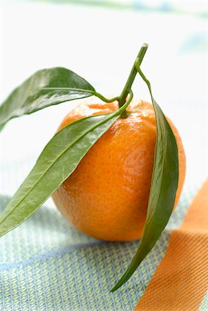 clementine Stock Photo - Rights-Managed, Code: 825-05990752