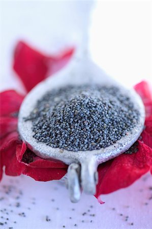 simsearch:825-07076582,k - Poppy seeds Foto de stock - Direito Controlado, Número: 825-05991070