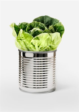 enlatados - Lettuce in a can Foto de stock - Con derechos protegidos, Código: 825-06047080