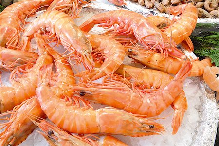 simsearch:825-06045784,k - Shrimps Stock Photo - Rights-Managed, Code: 825-06048136